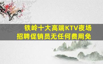 铁岭十大高端KTV夜场招聘促销员无任何费用免